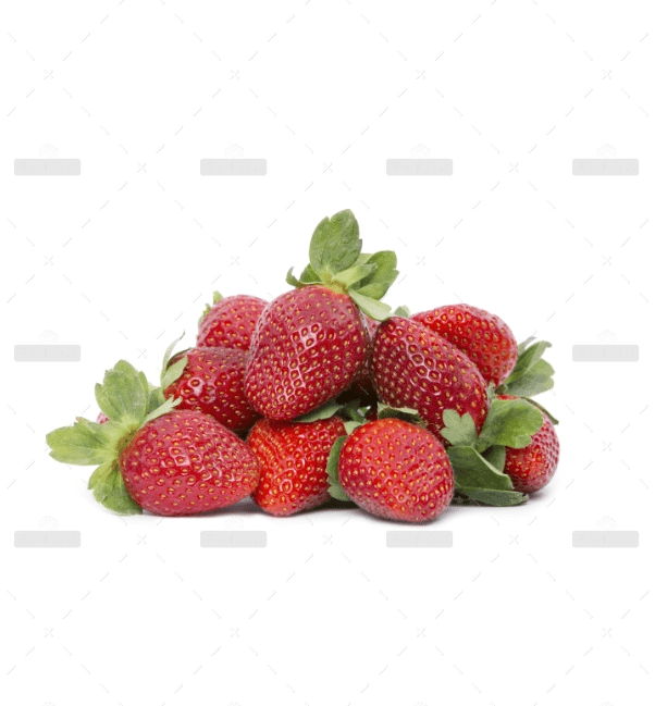 CRSH00757 JJF Round Cathedral Ring Adjustable - CRSH - Image 2